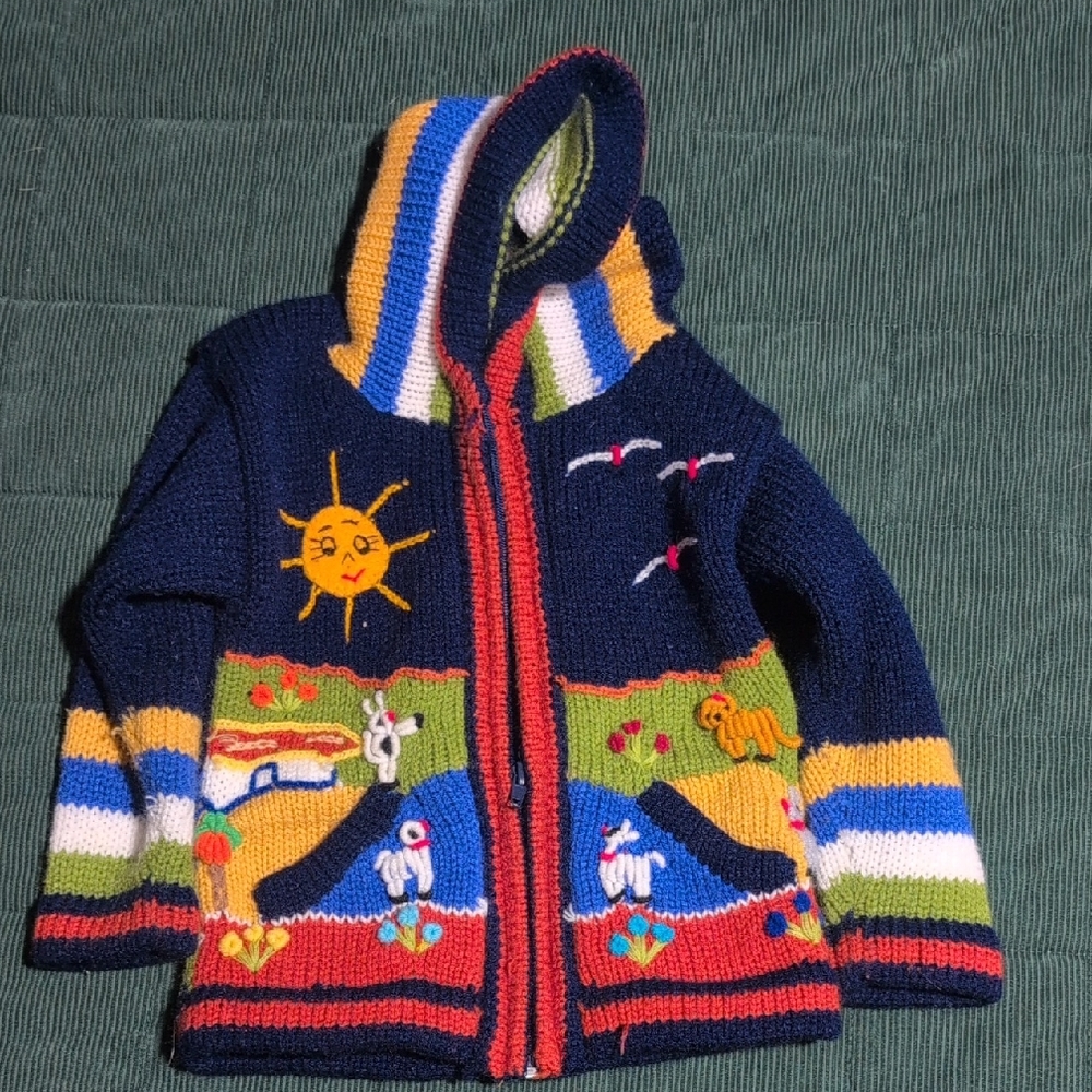 Peruvian Colorful Knit Hooded Jacket with Sun and Animal Design From